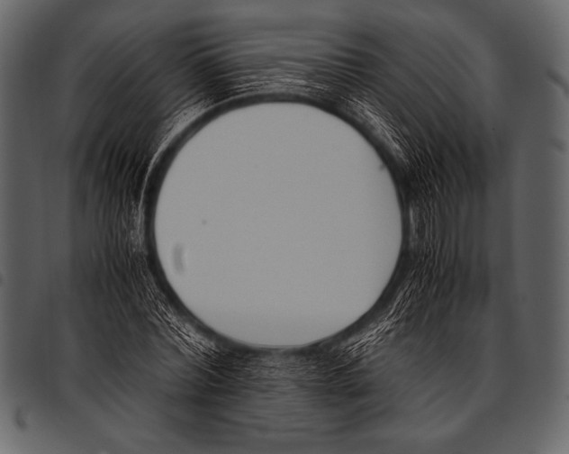 X0000097460780200803201425