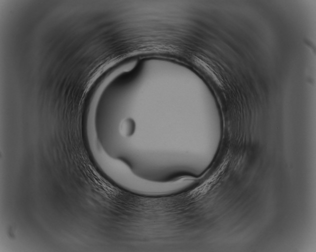 X0000097460781200803201425