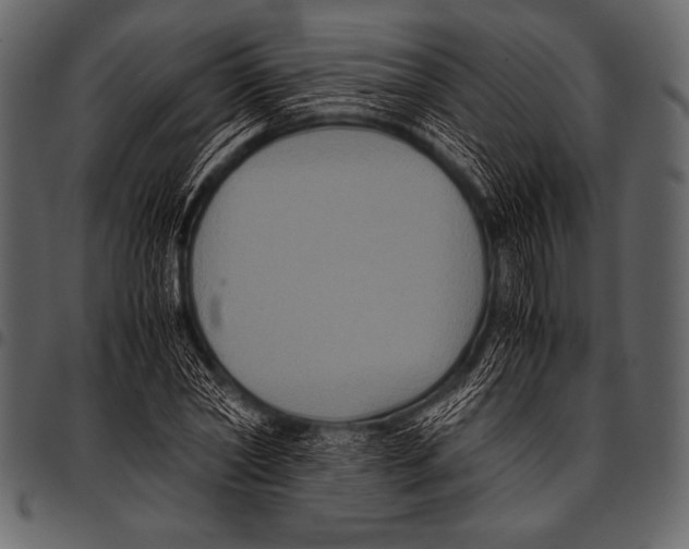 X0000097460782200803201425