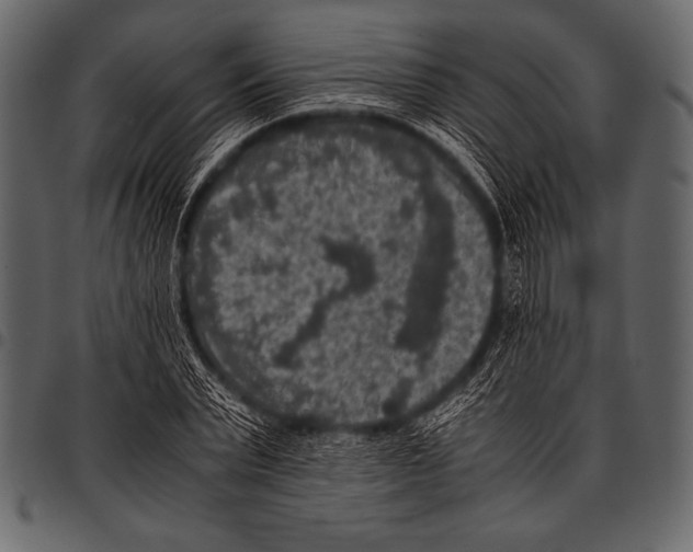 X0000097460783200803201425