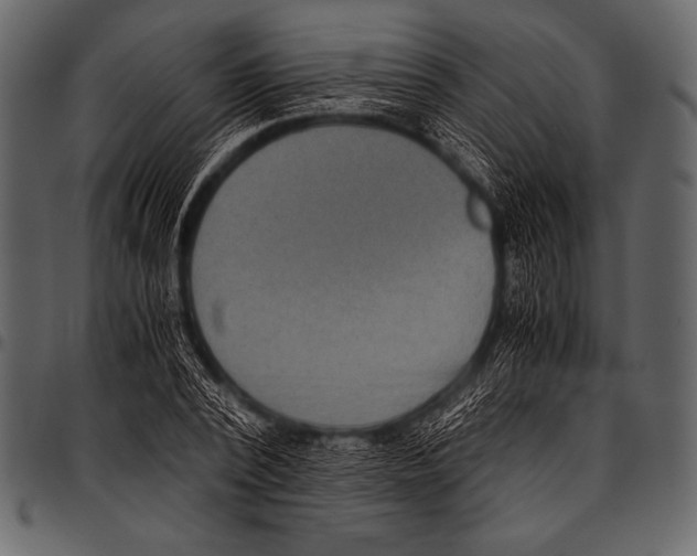 X0000097460784200803201425