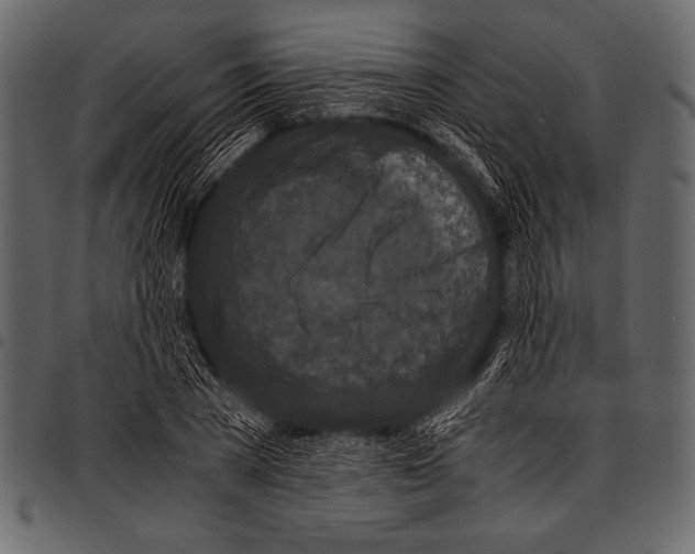 X0000097460785200803201425