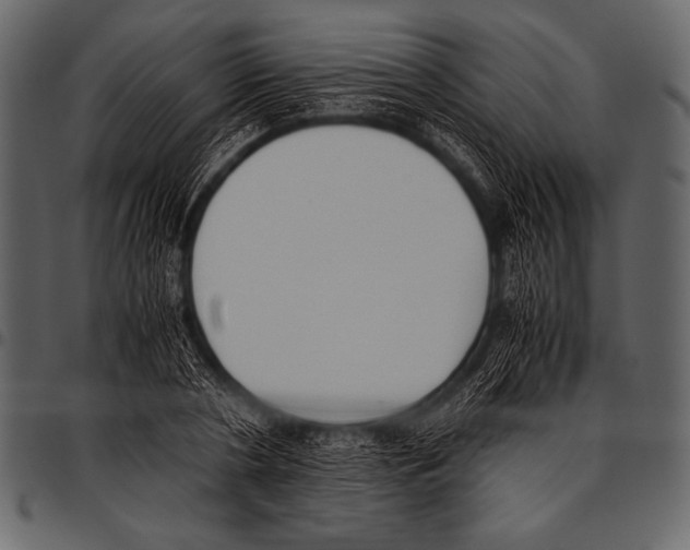 X0000097460786200803201425