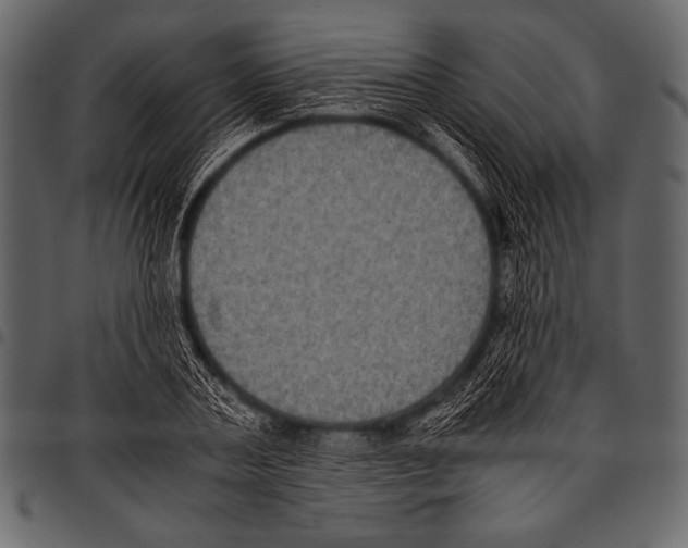 X0000097460787200803201425