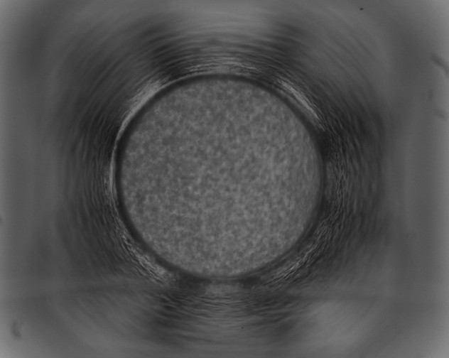 X0000097460788200803201425