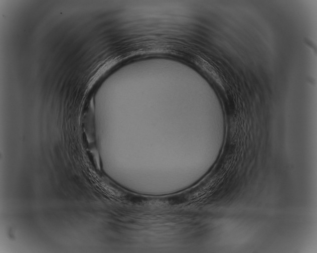 X0000097460789200803201425