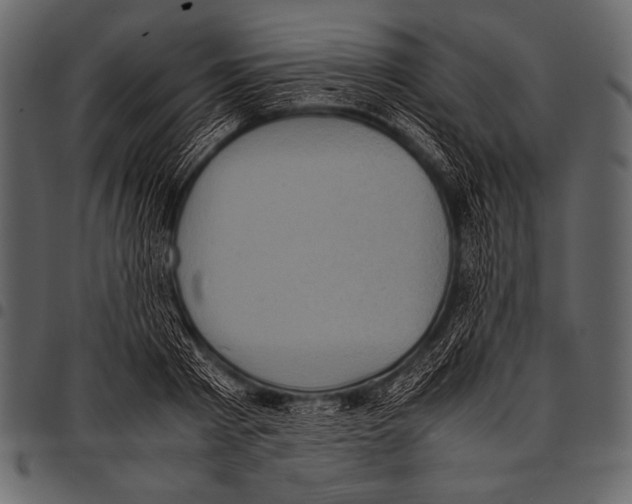 X0000097460793200803201425