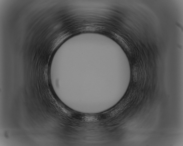 X0000097460794200803201425