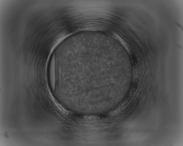 X0000097460795200803201425