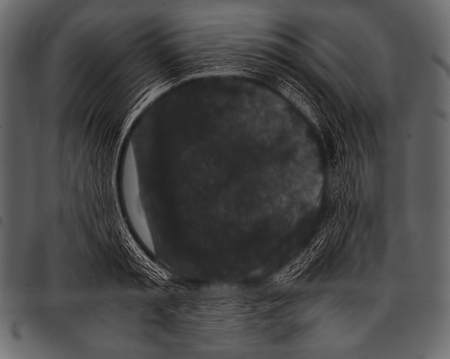 X0000097460797200803201425