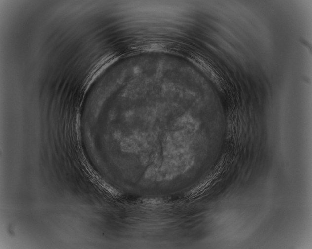 X0000097460798200803201425