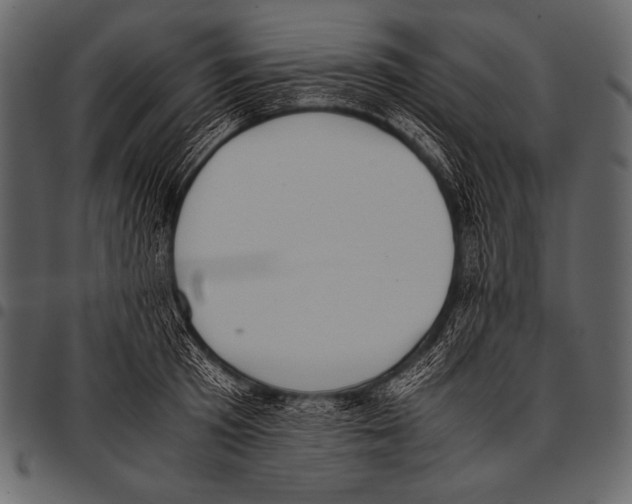 X0000097460801200803201425