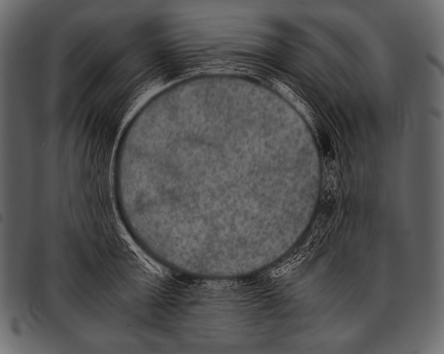 X0000097460803200803201425