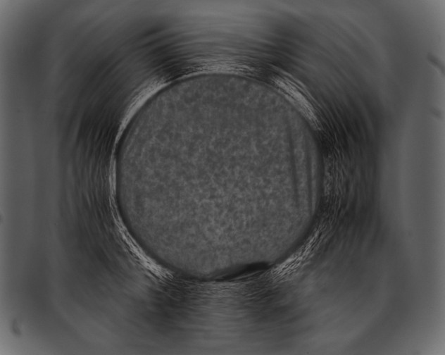 X0000097460804200803201425