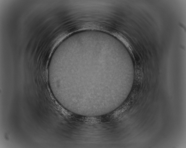 X0000097460807200803201425