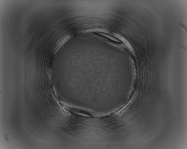 X0000097460809200803201425