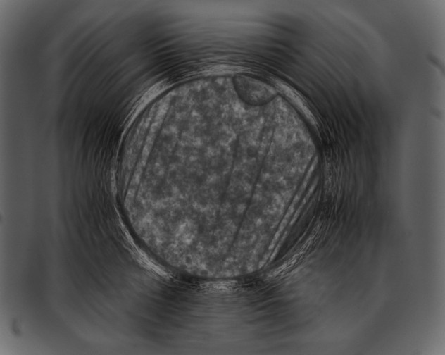 X0000097460810200803201425