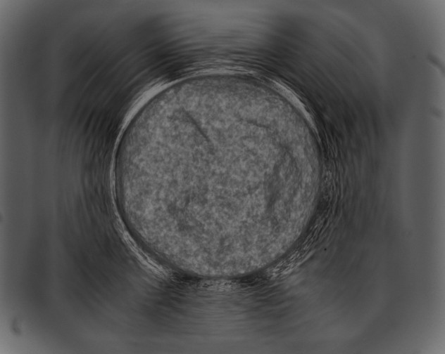 X0000097460811200803201425