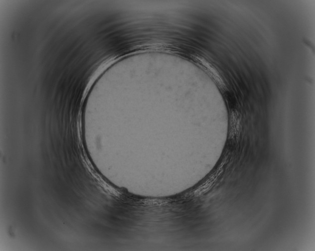 X0000097460812200803201425