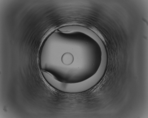 X0000097460813200803201425