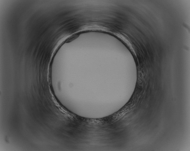 X0000097460815200803201425