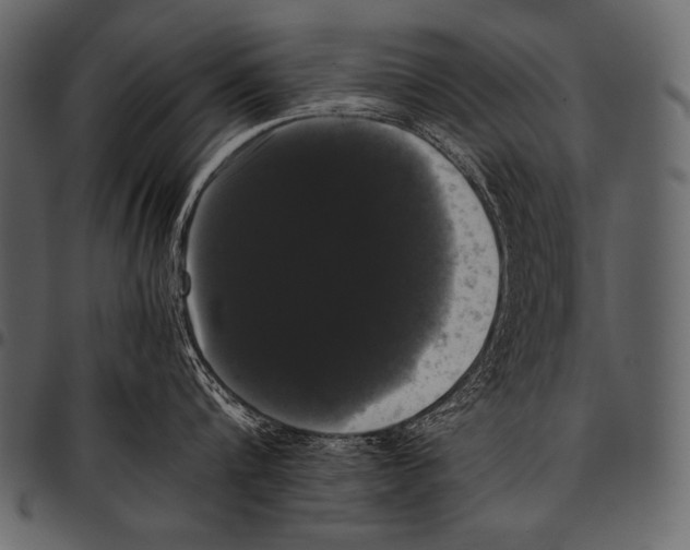 X0000097460816200803201425