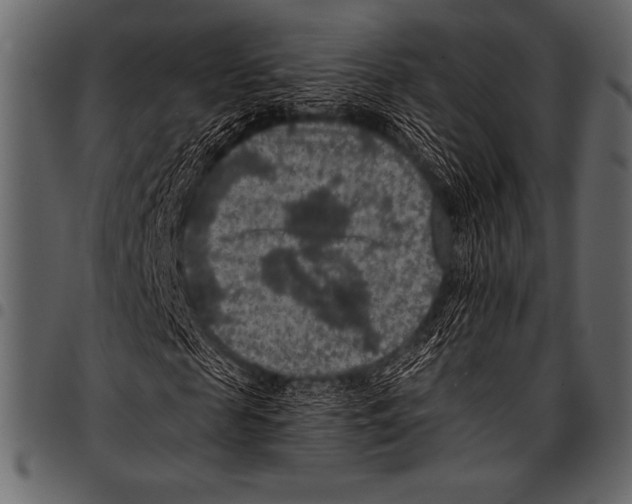 X0000097460817200803201424