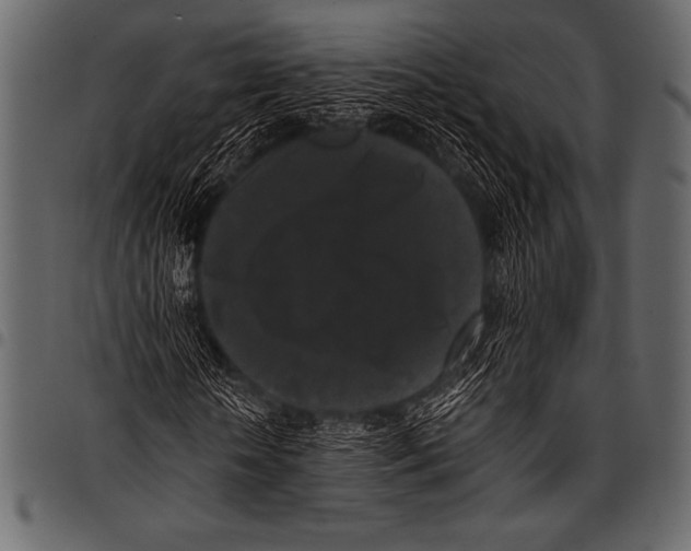 X0000097460818200803201424