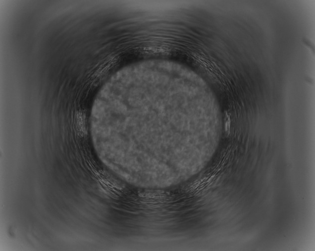 X0000097460819200803201424