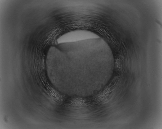 X0000097460820200803201424