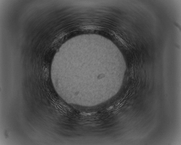 X0000097460821200803201424