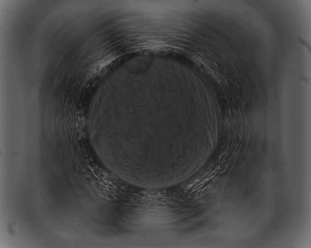 X0000097460822200803201424