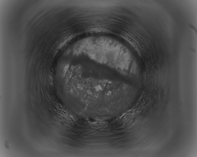 X0000097460823200803201424