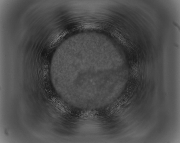 X0000097460824200803201424