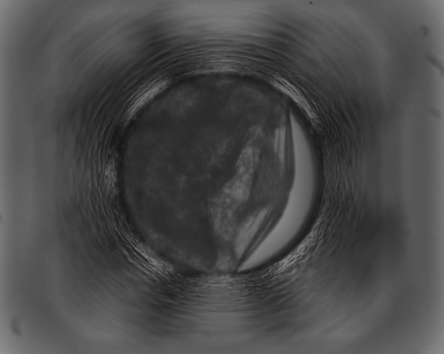 X0000097460826200803201424