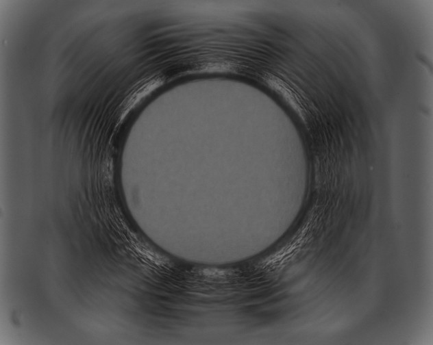 X0000097460827200803201424