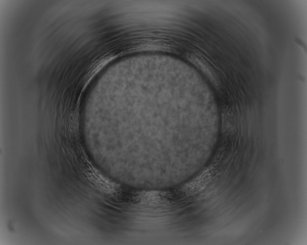 X0000097460828200803201424