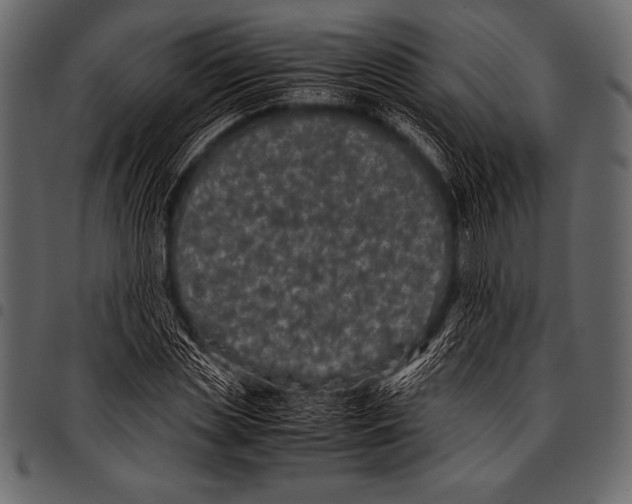 X0000097460829200803201424