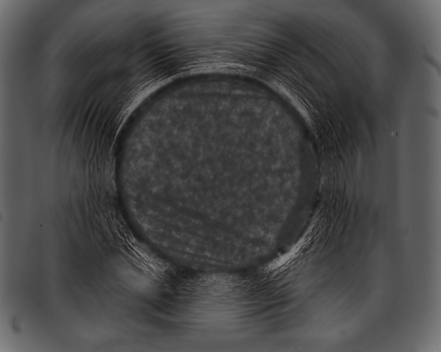 X0000097460830200803201424