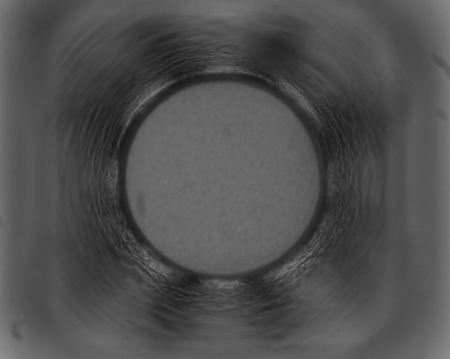 X0000097460831200803201424