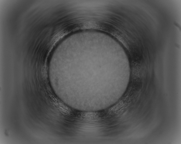 X0000097460832200803201424