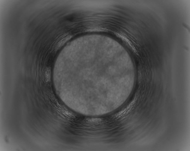 X0000097460833200803201424