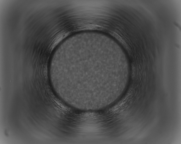 X0000097460834200803201424