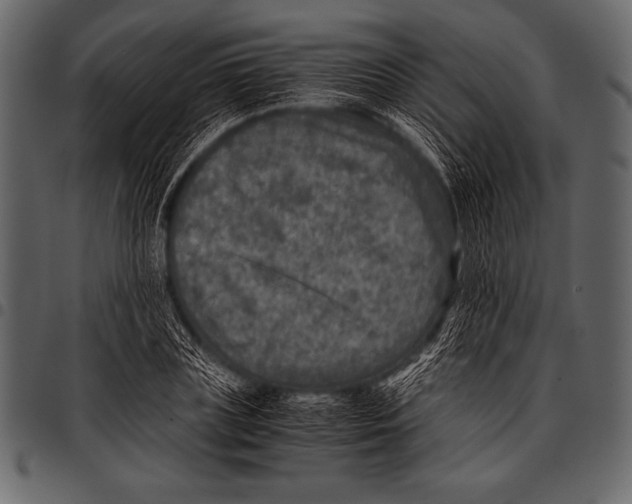 X0000097460835200803201424