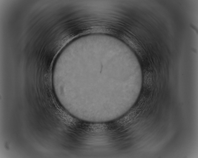 X0000097460836200803201424