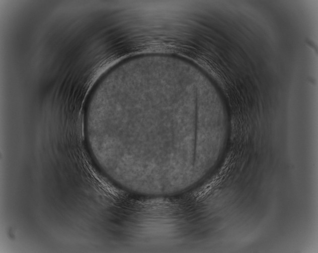 X0000097460838200803201424