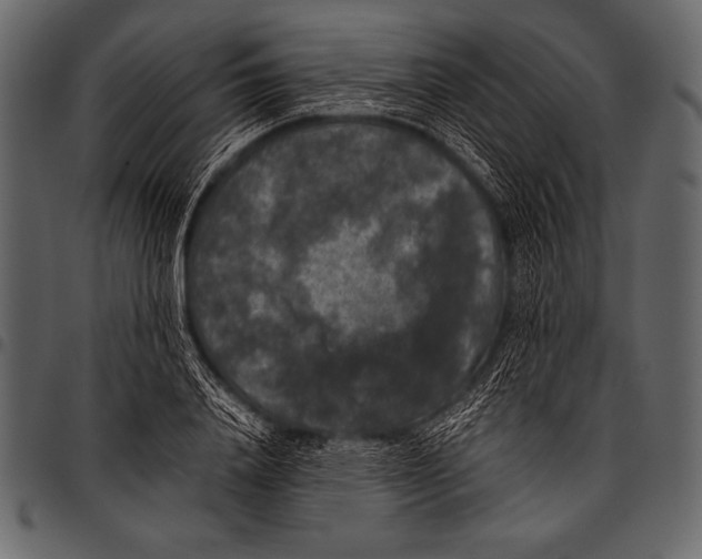 X0000097460840200803201424