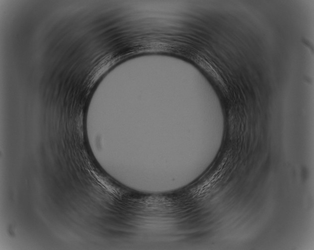 X0000097460842200803201424