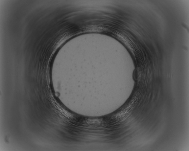 X0000097460843200803201424