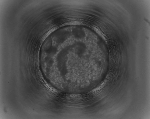 X0000097460845200803201424